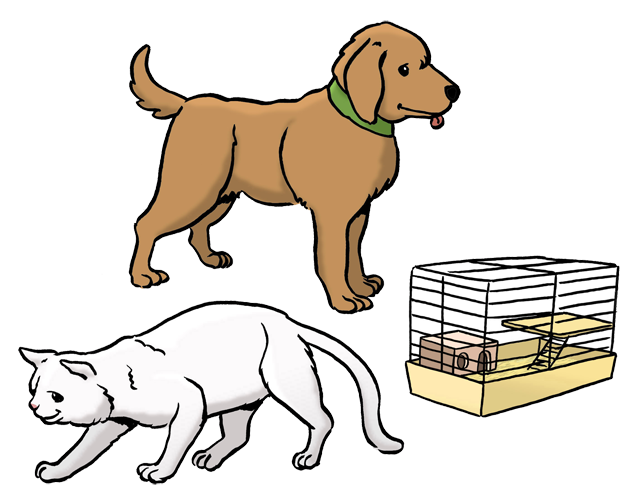 Was ist ehrenamtliche Arbeit.